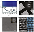 Synthesis and structural characterization of monolayer Cu<sub>3</sub>BHT