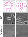 structural model and hrtem image of the flower defect and the butterfly defect in graphene and HBS