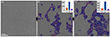 80 kV CC/CS-corrected HRTEM images of a NCG monolayer treated with high dose rate