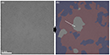 60 kV CC/CS-corrected HRTEM images of NCG showing changes under high dose rate