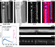 60 kV HAADF-STEM data of nKr@C60n inside SWCNT at 1200°C