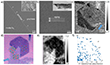 HRTEM images of MoTe2