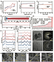 Electrochemical performances and discharge/charge mechanism of CP@FeCu for Na-CO2 batteries