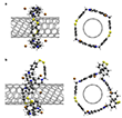 Molecular dynamics around SWCNTs