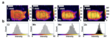 2D microXRF maps showing homogeneous distribution of Cl, Mn, Mo, Zn with corresponding intensity histograms