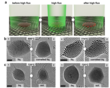 Electron beam control of stationary atoms