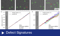 HRTEM defect analysis in MoS2 and WS2